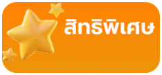 สิทธิพิเศษ